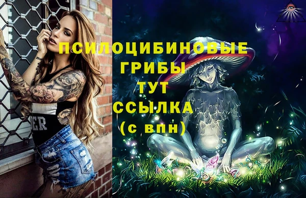 твердый Алексин