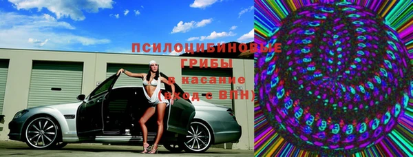 твердый Алексин